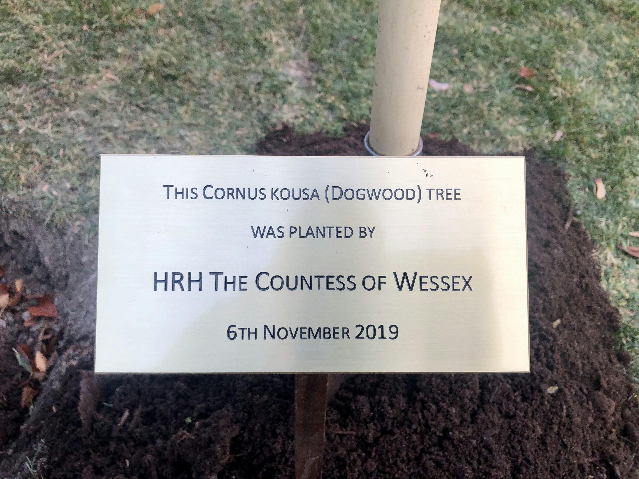 img 6466 uFkpY7 Grevinnne Sophie plantet tre til minne om dronning Maud